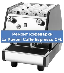 Декальцинация   кофемашины La Pavoni Caffe Espresso CFL в Санкт-Петербурге